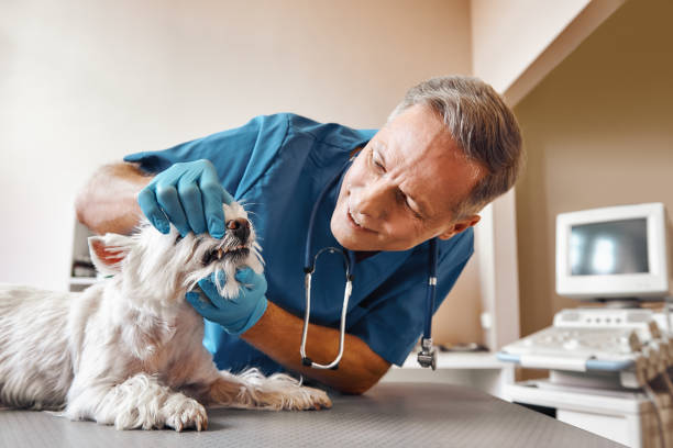 Best Pediatric Emergency Dentist in Ladera, CA